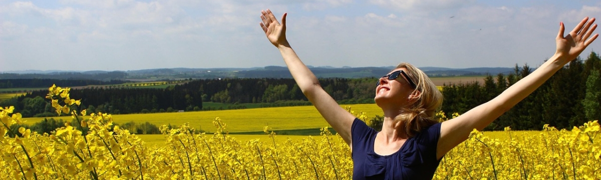 banner image